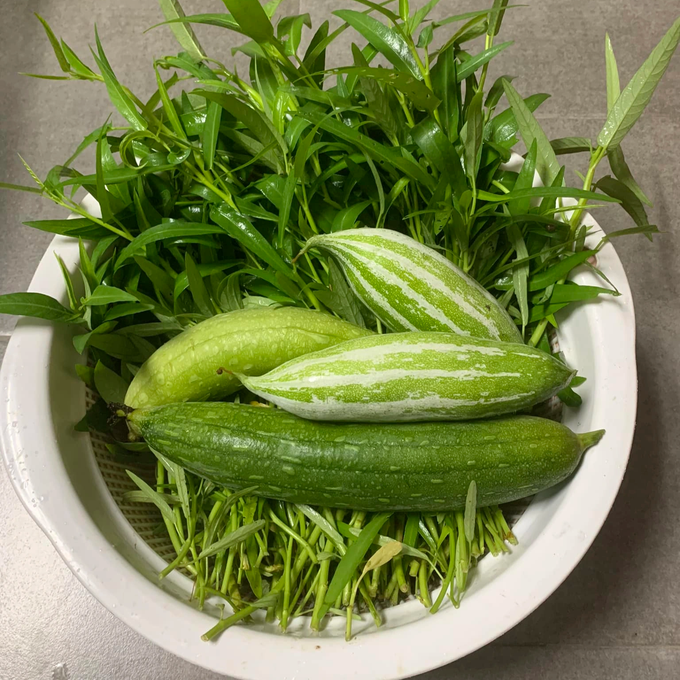 Số rau quả chị Phương tự tay trồng trong các thùng xốp. (Ảnh: N. P. L) Số rau quả chị Phương tự tay trồng trong các thùng xốp. (Ảnh: N. P. L)