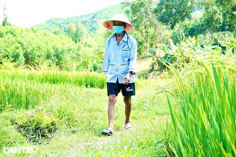 Lúc trước khi mất ngủ, ông thường làm đủ thứ chuyện, từ cuốc cỏ đến gặt lúa, làm ruộng... Lúc trước khi mất ngủ, ông thường làm đủ thứ chuyện, từ cuốc cỏ đến gặt lúa, làm ruộng...