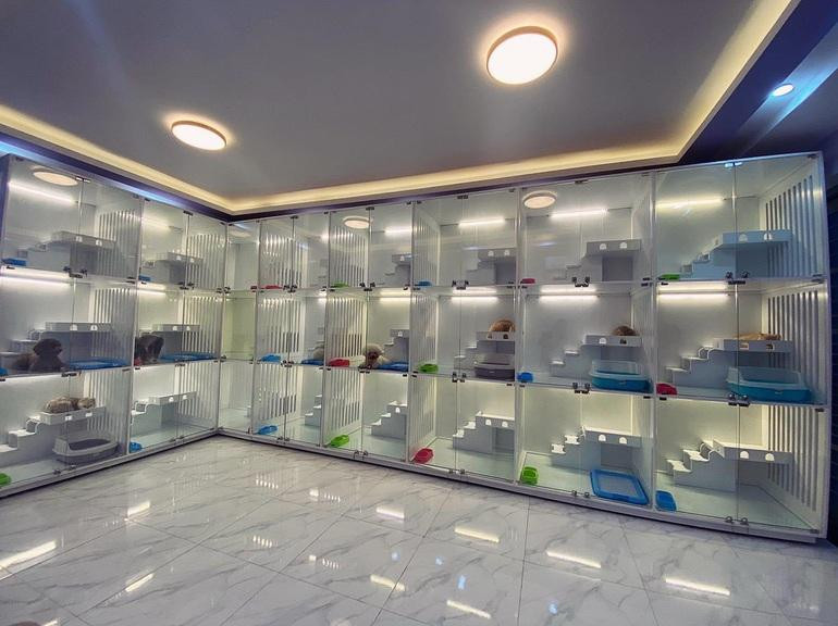 Phòng khách sạn cao cấp cho thú cưng lưu trú dịp Tết.