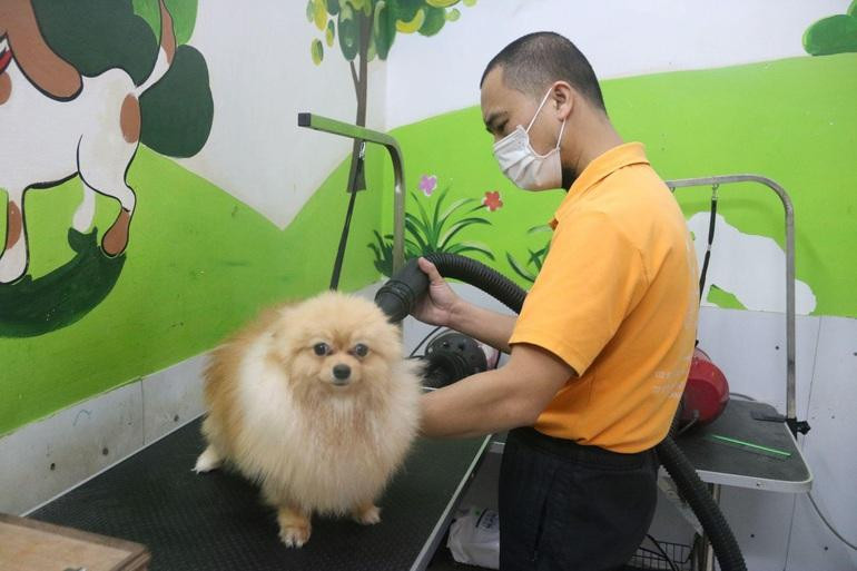 Mỗi tuần thú cưng sẽ được tắm gội 2 lần