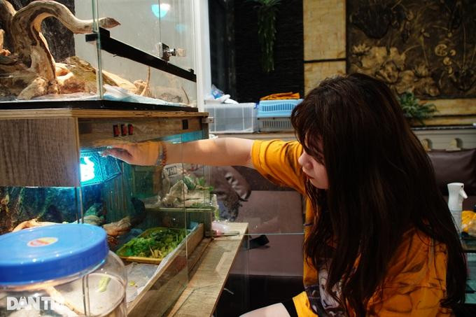 Theo 10X, việc chăm sóc các loài bò sát làm thú cưng khá đơn giản vì chúng dễ ăn và ăn không quá nhiều. Theo 10X, việc chăm sóc các loài bò sát làm thú cưng khá đơn giản vì chúng dễ ăn và ăn không quá nhiều.