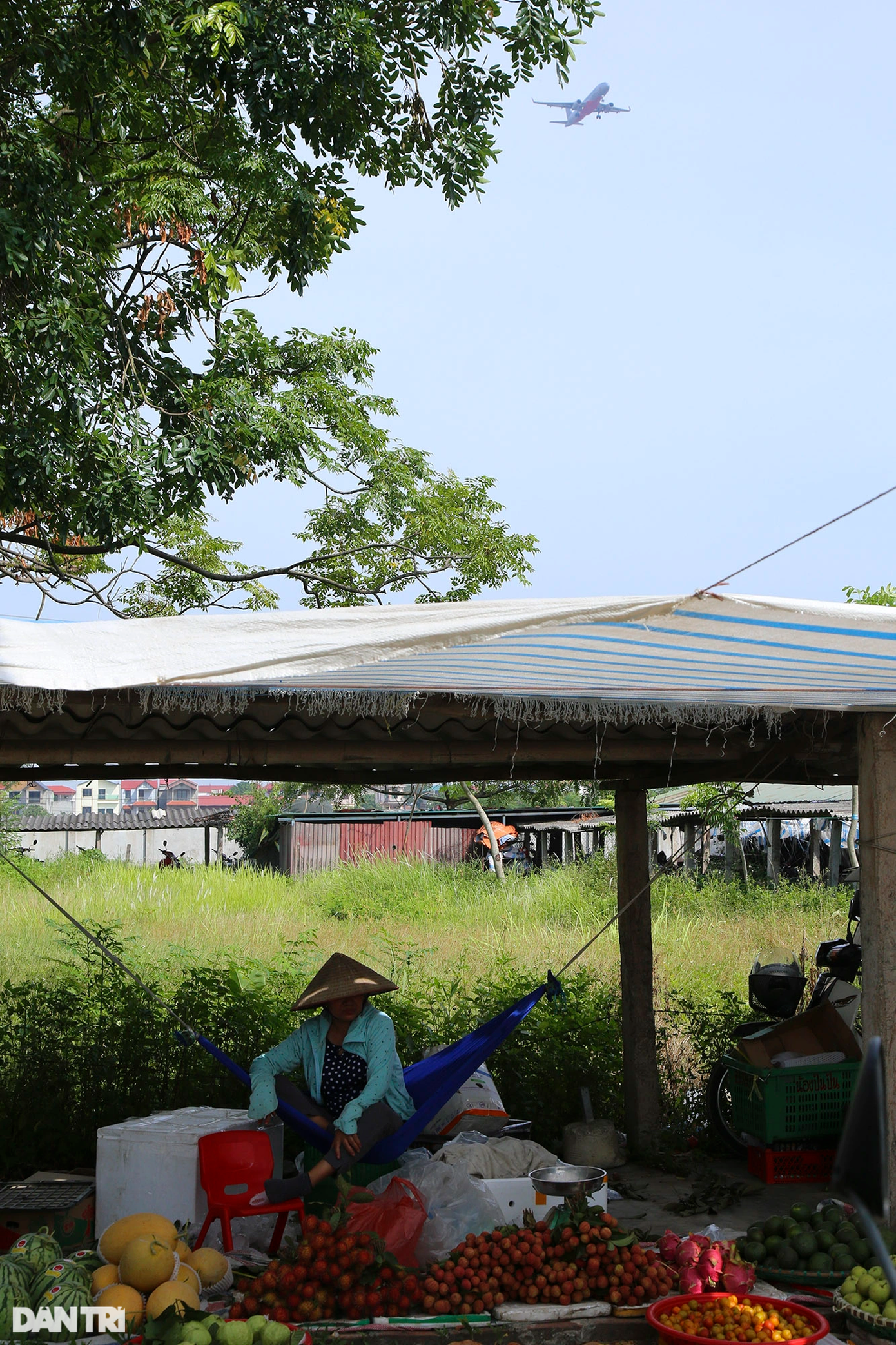 Người bán hàng hoa quả nhiệt đới như chôm chôm, vải, mận, dưa... dưới bụng máy bay.