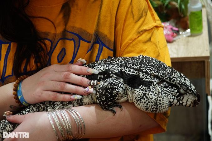 Hàng ngày, tranh thủ lúc rảnh rỗi, 10X lại dành thời gian vuốt ve, âu yếm hay trò chuyện với những con bò sát nuôi trong nhà. Hàng ngày, tranh thủ lúc rảnh rỗi, 10X lại dành thời gian vuốt ve, âu yếm hay trò chuyện với những con bò sát nuôi trong nhà.