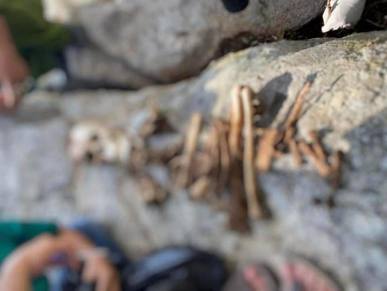 Bộ xương sau khi được cơ quan chức năng thu gom và sắp xếp lại. Ảnh: Công an huyện Thuận Nam. Bộ xương sau khi được cơ quan chức năng thu gom và sắp xếp lại. Ảnh: Công an huyện Thuận Nam.