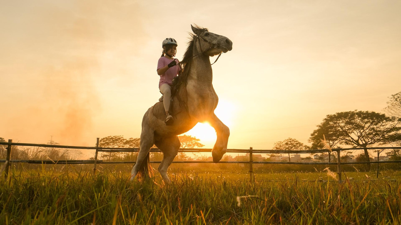 Nhiều học viên do tôi phụ trách chưa đầy 10 tuổi. Các em đến với môn thể thao này xuất phát từ lòng yêu mến động vật. Minh Ngọc (9 tuổi) đang khéo léo điều khiển chủ ngựa đứng bằng 2 chân.