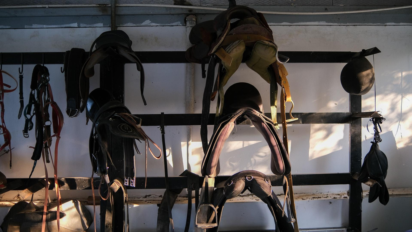 Ngoài cung cấp sẵn bốt cao cổ và mũ bảo hiểm, CLB cũng chuẩn bị đầy đủ vật dụng cần thiết khác cho học viên, trong đó có yên ngựa. Chiếc yên nằm trong số những phụ kiện không thể thiếu, giúp giảm ảnh hưởng đến cột sống của ngựa. Tùy mỗi con sẽ phù hợp với kích cỡ yên khác nhau.