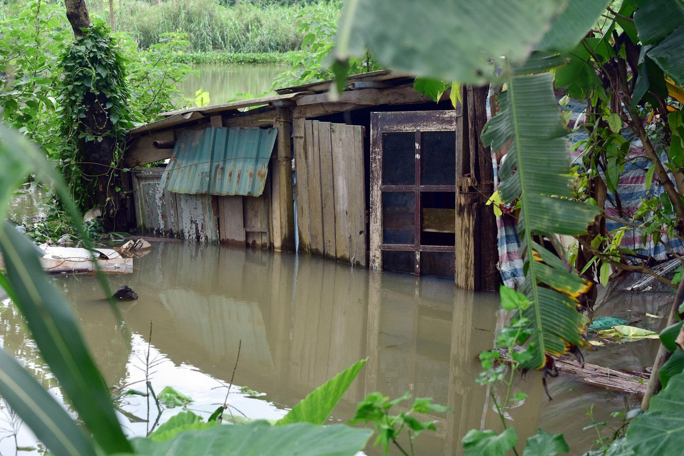 Ngôi nhà tạm của một số hộ dân sinh sống tại bãi giữa sông Hồng bị nước lũ dâng cao, ngập gần đến tận nóc nhà. Ngôi nhà tạm của một số hộ dân sinh sống tại bãi giữa sông Hồng bị nước lũ dâng cao, ngập gần đến tận nóc nhà.