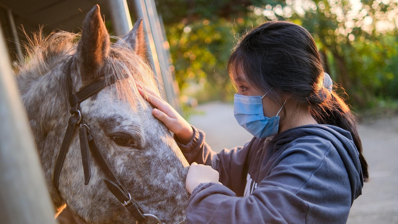Cưỡi ngựa là môn thể thao đòi hỏi người chơi tương tác nhiều với con vật. Sự thân mật sẽ giúp học viên kiểm soát tình huống tốt hơn khi ngồi trên lưng ngựa. Do đó, làm quen với ngựa luôn là bài học đầu tiên của các tân binh. Một học viên mới của tôi đang dành thời gian vuốt ve, trò chuyện cùng chú ngựa sẽ đồng hành với cô trong buổi học.