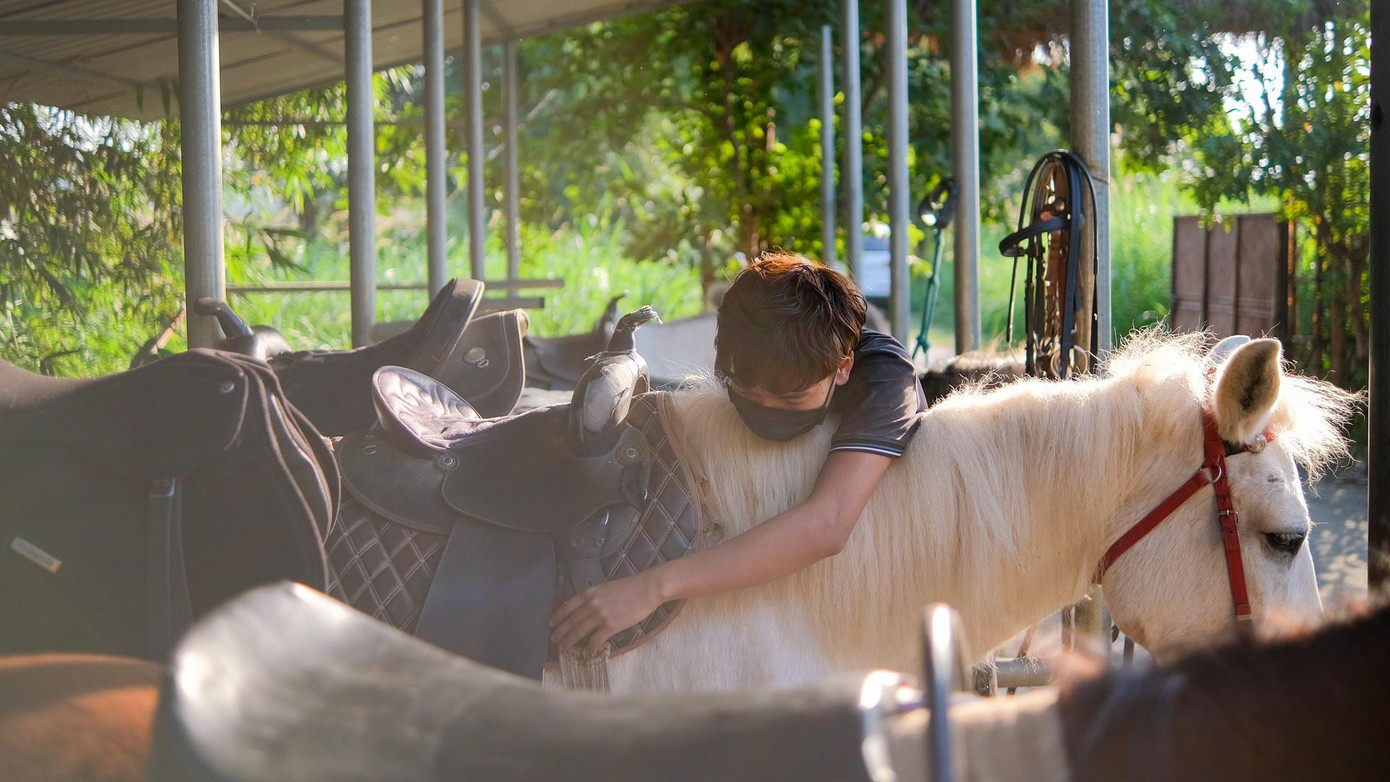 Tuy nhiên, trong quá trình chăm sóc, mỗi con ngựa được thương yêu như nhau, không có sự thiên vị nào. Với tôi, chúng đều ngoan, thân thiết và mối liên kết đặc biệt với những người chăm sóc.