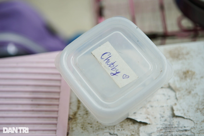 Hộp thức ăn của thú cưng tên Chubby (Ảnh: Viên Minh)
