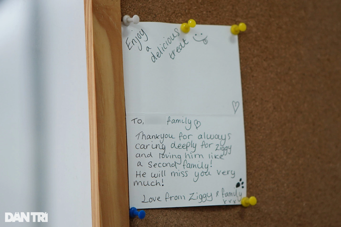 Nhiều gia đình gửi thư cảm ơn lớp học đã yêu thương thú cưng như gia đình thứ hai (Ảnh: Viên Minh)