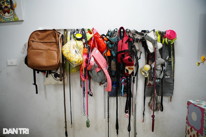 Mỗi thú cưng đều có balo khắc tên riêng (Ảnh: Viên Minh)