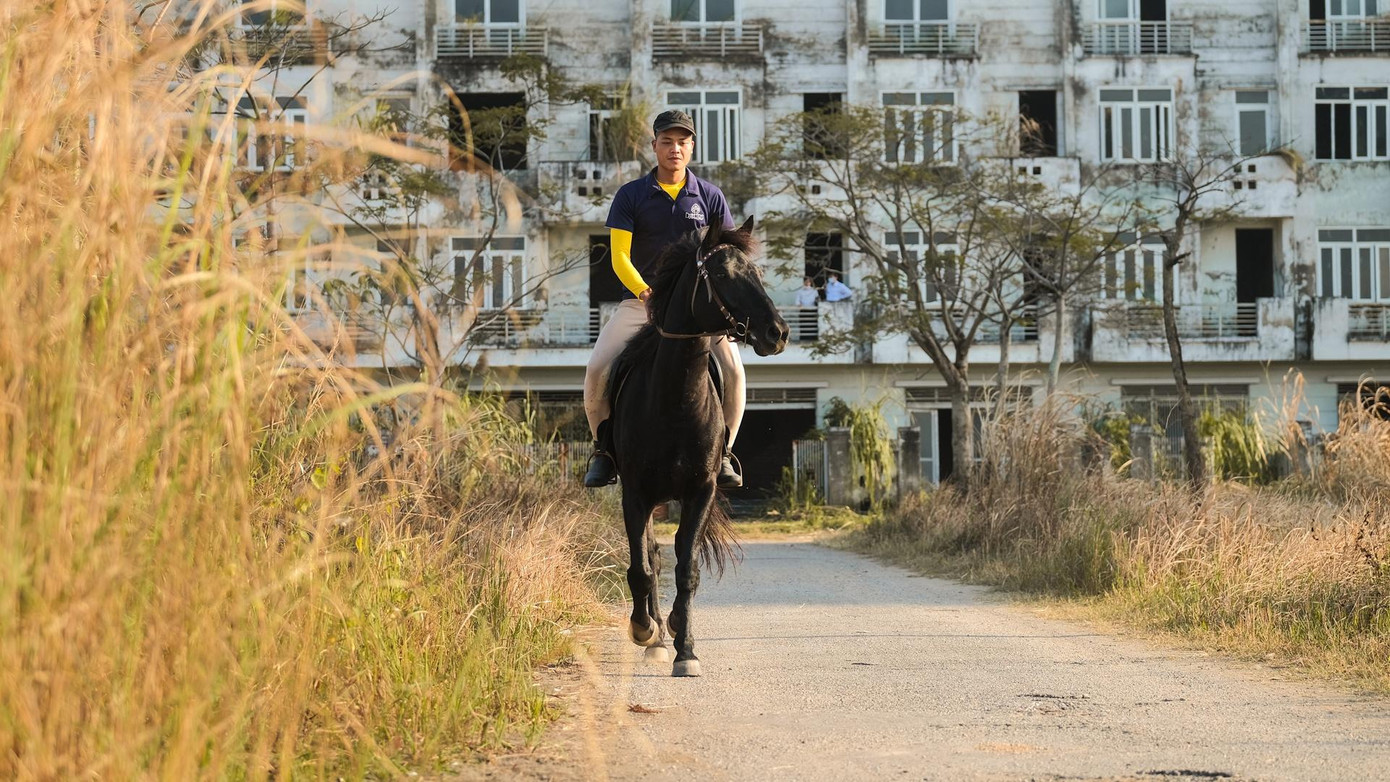 Tôi là Bùi Thanh Hải (sinh năm 1995, Hòa Bình), huấn luyện viên ngựa chuyên nghiệp có 8 năm kinh nghiệm.