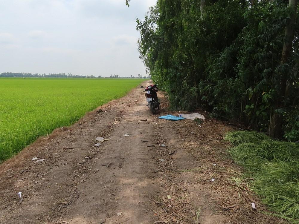 Bắt giam bị can hiếp dâm con gái của bạn giữa đồng vắng - Ảnh 2. Hiện trường vụ án hiếp dâm con gái của bạn. Nguồn: congan.angiang.gov.vn