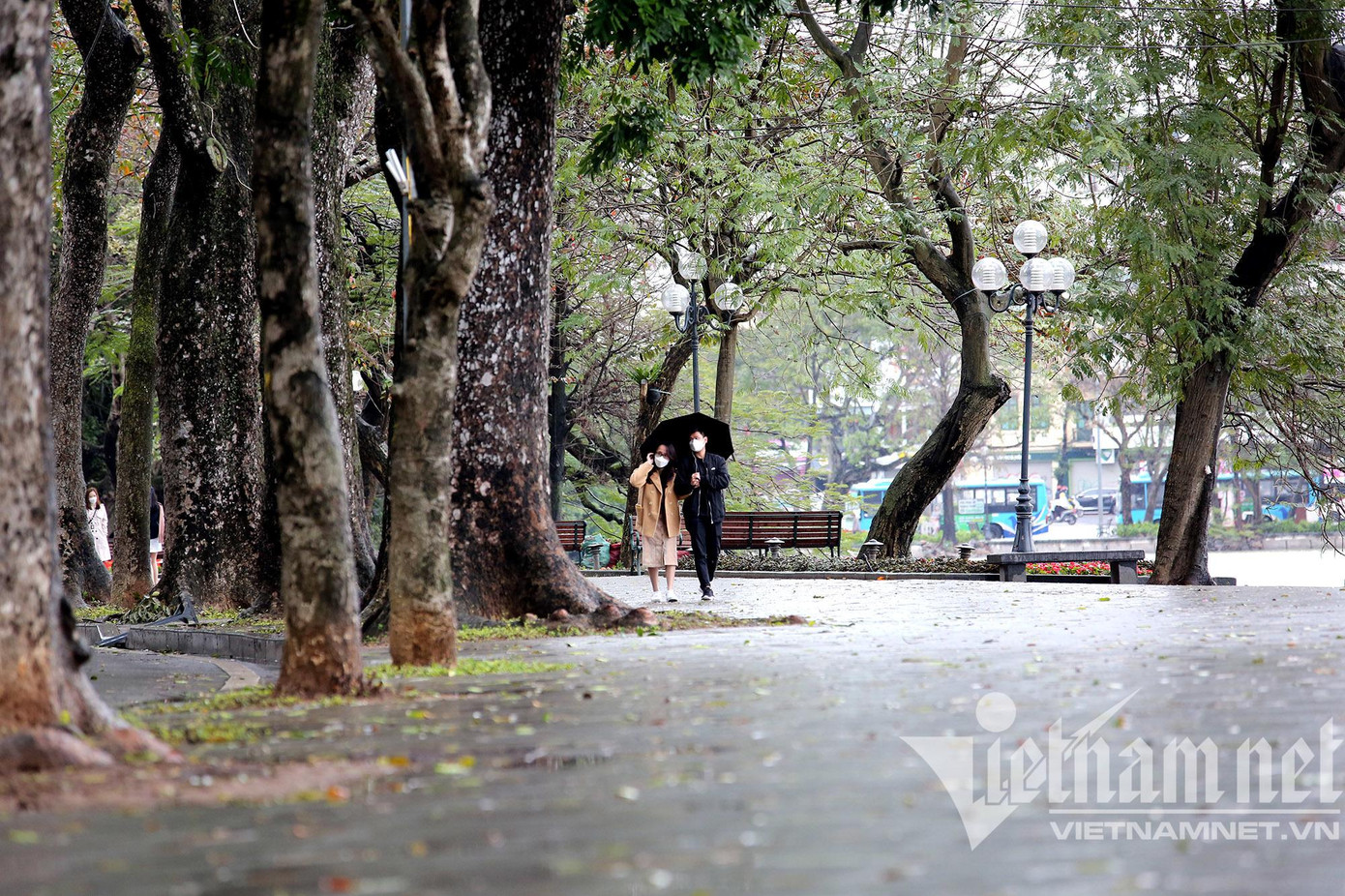 Dù là ngày nghỉ cuối tuần nhưng do mưa rét, không gian phố đi bộ quanh hồ Gươm khá vắng người