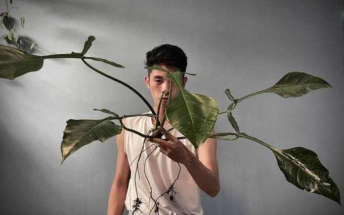 Anh Trần Quốc Lợi bên dòng cây kiểng lá có hình dáng độc đáo (Ảnh: Quốc Lợi). Anh Trần Quốc Lợi bên dòng cây kiểng lá có hình dáng độc đáo (Ảnh: Quốc Lợi).