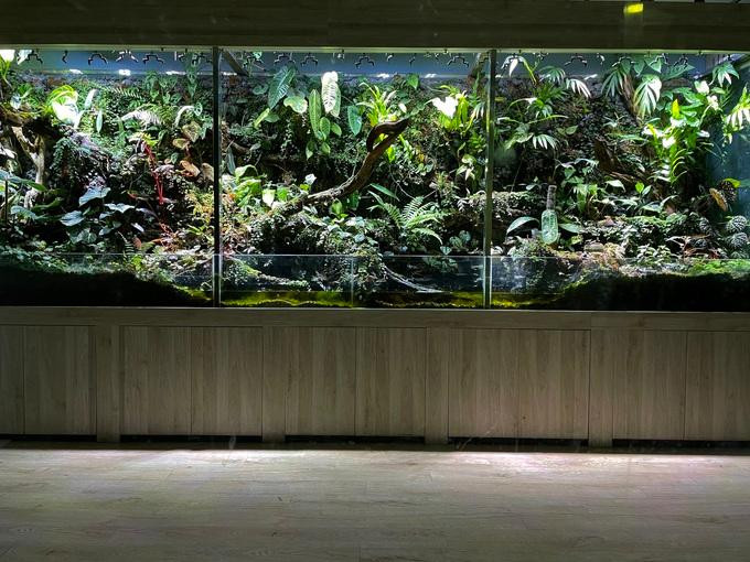 Một trong ba bể cạn trong căn chung cư của anh Lợi (Ảnh: NVCC). Một trong ba bể cạn trong căn chung cư của anh Lợi (Ảnh: NVCC).