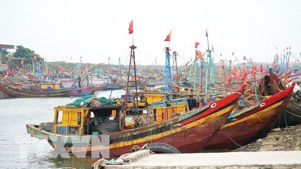 Tàu cá nằm bờ do giá xăng dầu và chi phí vật tư đầu vào tăng mạnh. (Ảnh: Bích Huệ/TTXVN)