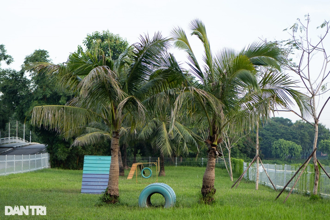 Các mô hình vận động khác nhau được bố trí bên trong công viên (Ảnh: Viên Minh)