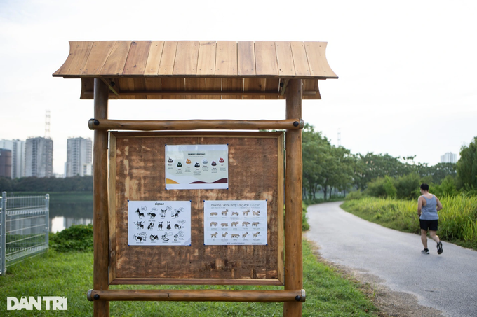 Một số dấu hiệu thú cưng muốn đi vệ sinh cảnh báo chủ (Ảnh: Viên Minh)