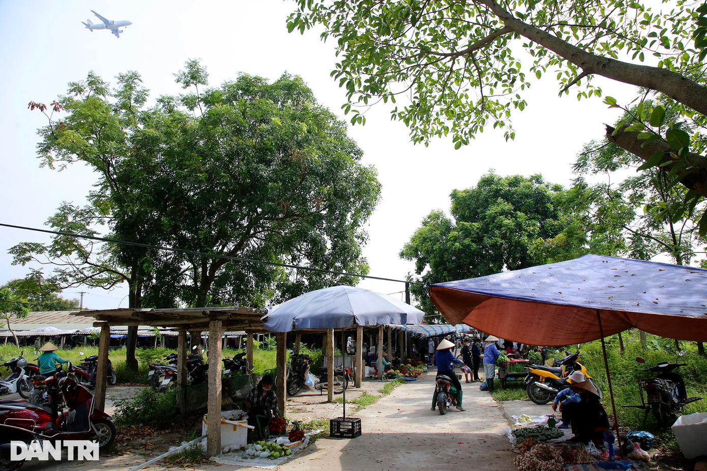 Khu vực này còn có rất nhiều phiên chợ đều chỉ họp vào buổi sáng, song chợ họp dưới những chuyến bay như chợ Thanh Nhàn thì không đâu có.