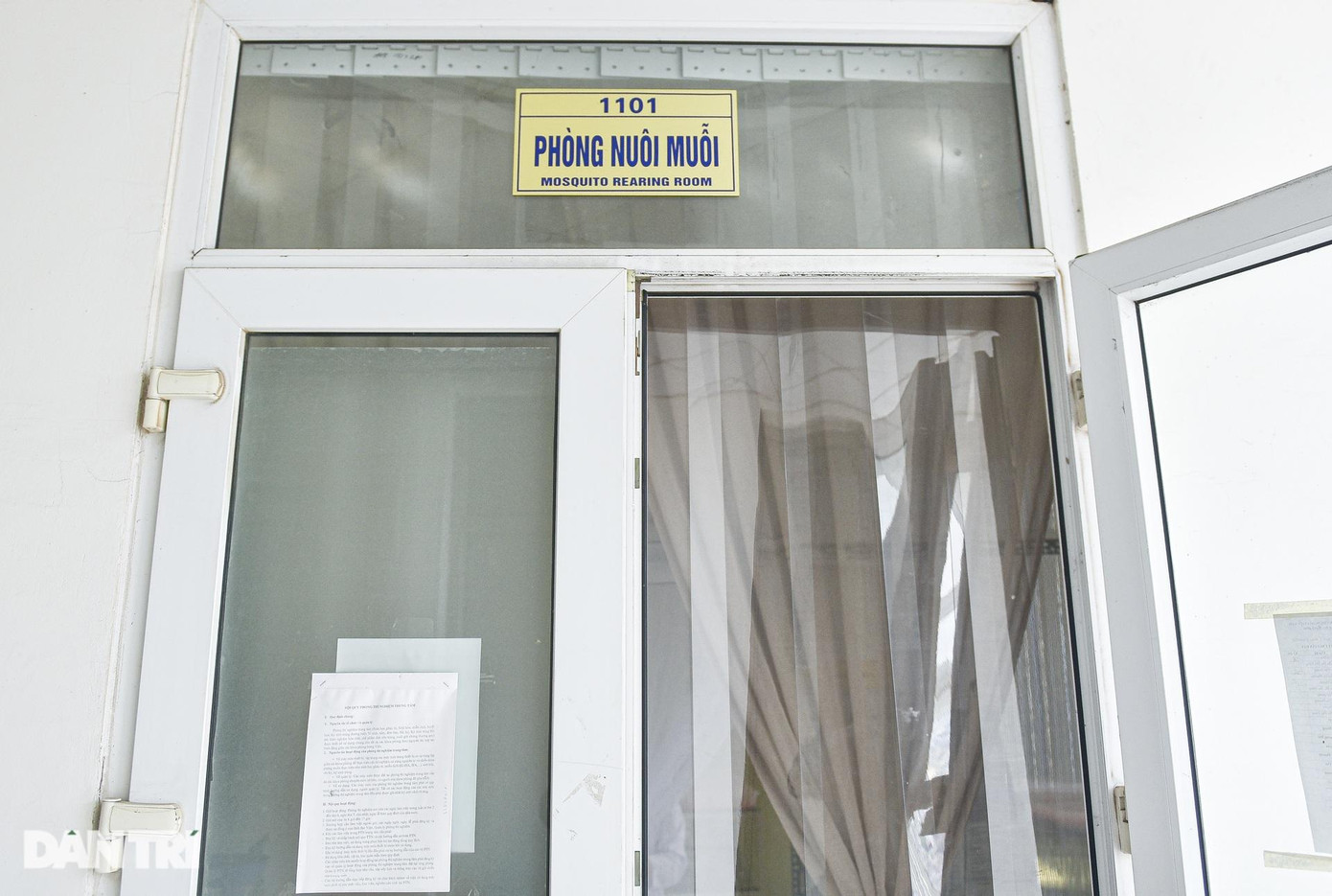 Tại khoa Hóa thực nghiệm, Viện Sốt rét - ký sinh trùng - côn trùng Trung Ương, quy trình nuôi muỗi được thực hiện trong phòng kín. Phòng được thiết kế đặc biệt với hai lớp vải mỏng phía sau cánh cửa ra vào.
