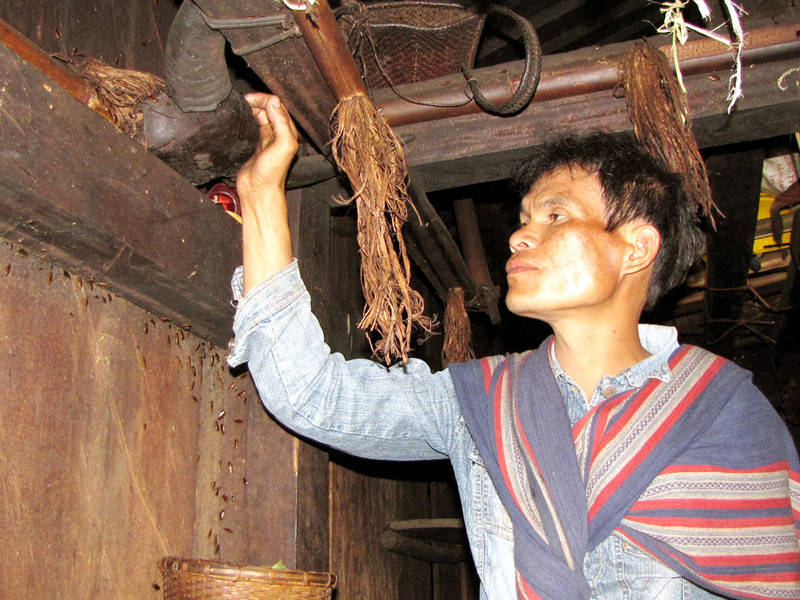 Đầu trâu từ lần đâm trâu trước. Hê chưa trả hết nợ cũ