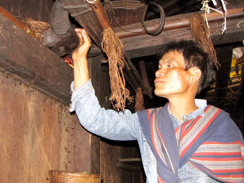 Đầu trâu từ lần đâm trâu trước. Hê chưa trả hết nợ cũ