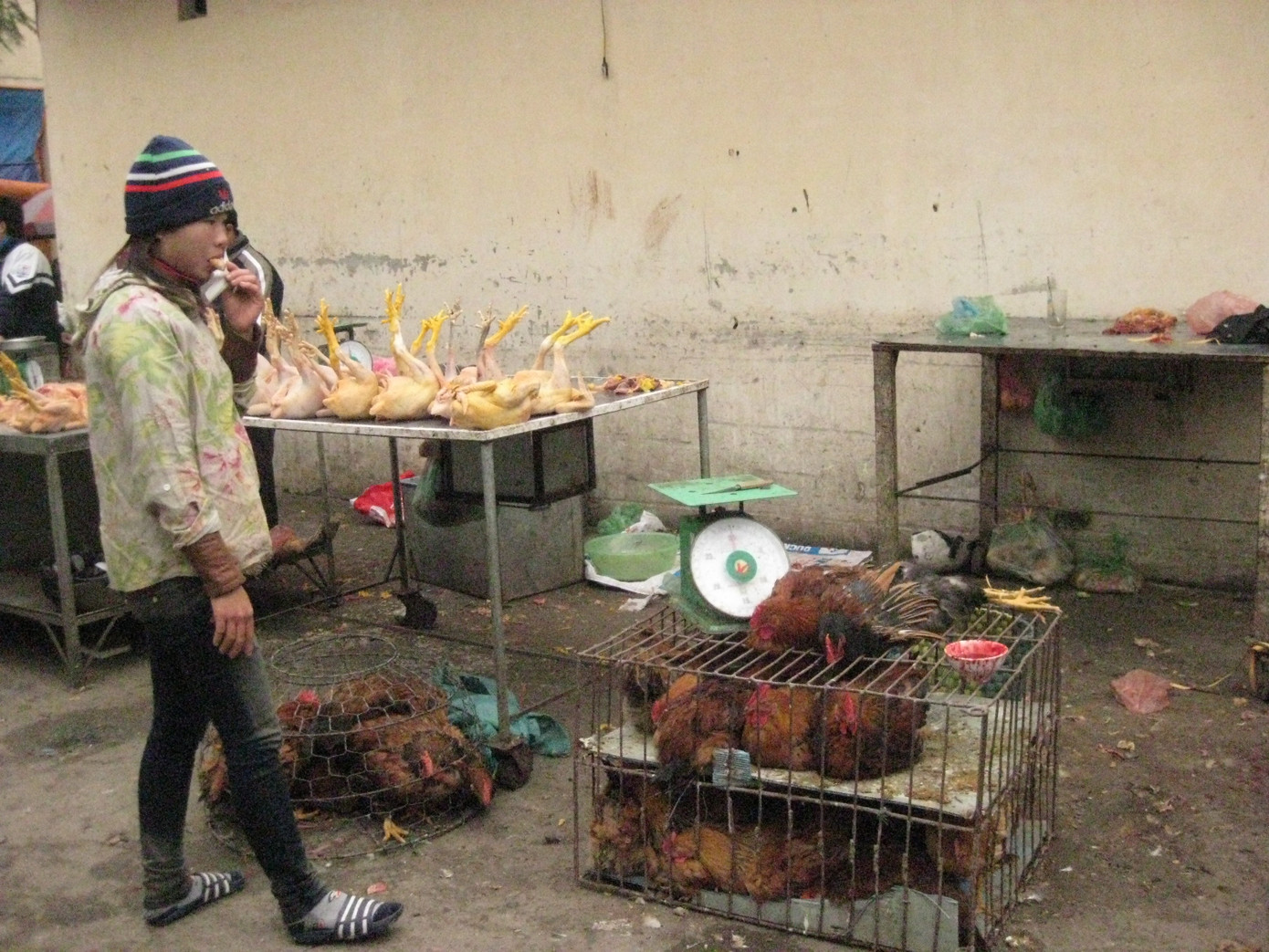 Gà quê là sự lựa chọn của nhiều bà nội trợ