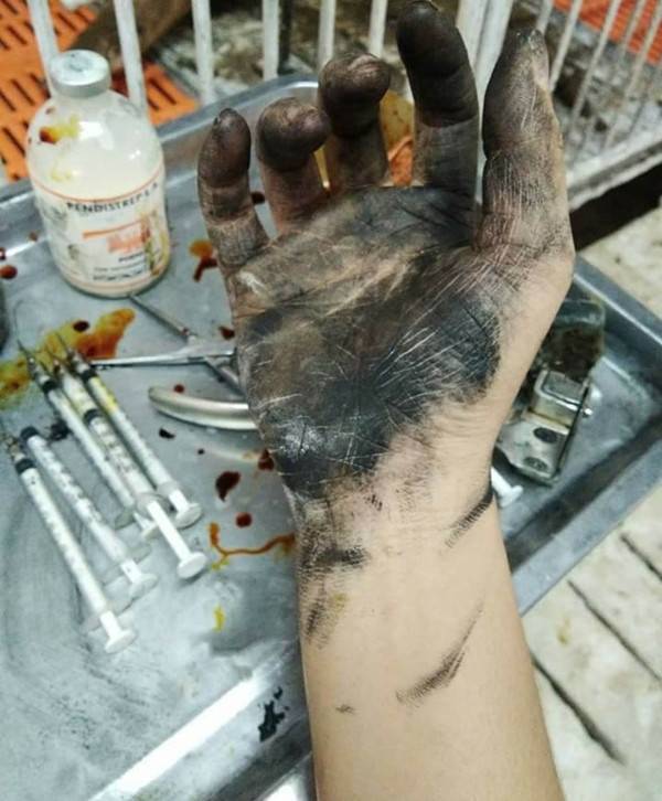 Cô sinh viên thực tập ở trang trại lợn 'gây sốt' mạng xã hội ảnh 2