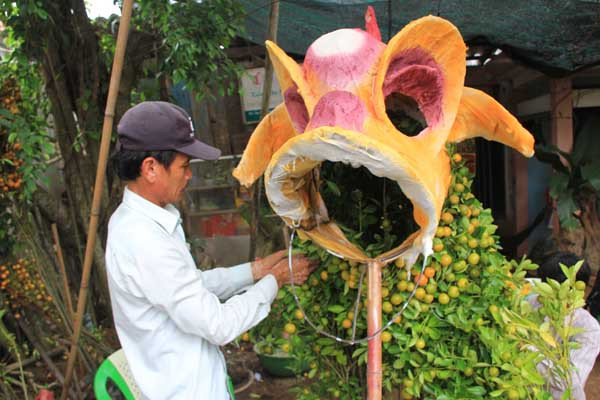 Quất cảnh hình chó cưng 12 triệu đồng mỗi cặp ở miền Tây ảnh 2