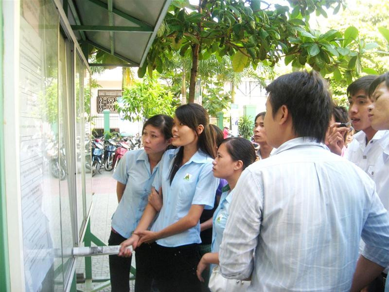 Sinh viên tìm kiếm thông tin tìm việc làm thêm trong ngày Tết - Ảnh: Nguyễn Thành