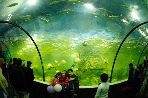 Thủy cung đầu tiên tại Thủ đô