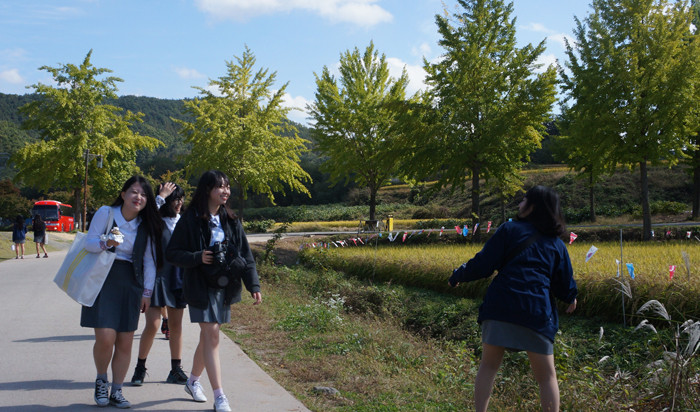 Chụp ảnh ghi lại cảnh sắc mùa thu. Chụp ảnh ghi lại cảnh sắc mùa thu