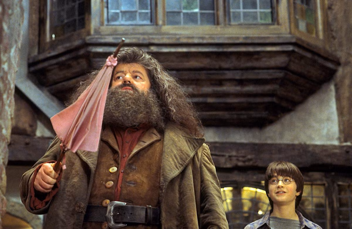 Bác Hagrid chính là người đầu tiên dẫn Harry đi "phá đảo" thế giới phép thuật.