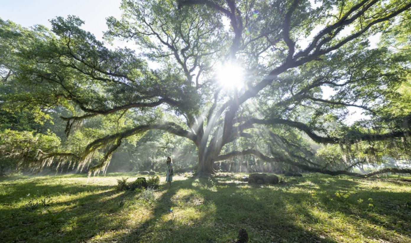 Cảnh thiên nhiên mang một vẻ đẹp hoang dại đến ngỡ ngàng. (Nguồn: Internet) Cảnh thiên nhiên mang một vẻ đẹp hoang dại đến ngỡ ngàng. (Nguồn: Internet)