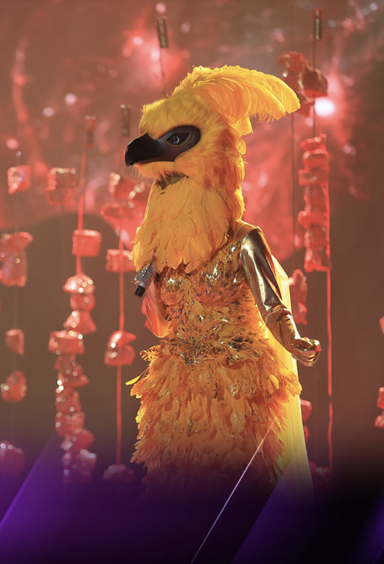 Tiểu Phượng Hoàng, Ong Bây Bi và Orange có nhiều điểm tương đồng về giọng hát. Tiểu Phượng Hoàng, Ong Bây Bi và Orange có nhiều điểm tương đồng về giọng hát.