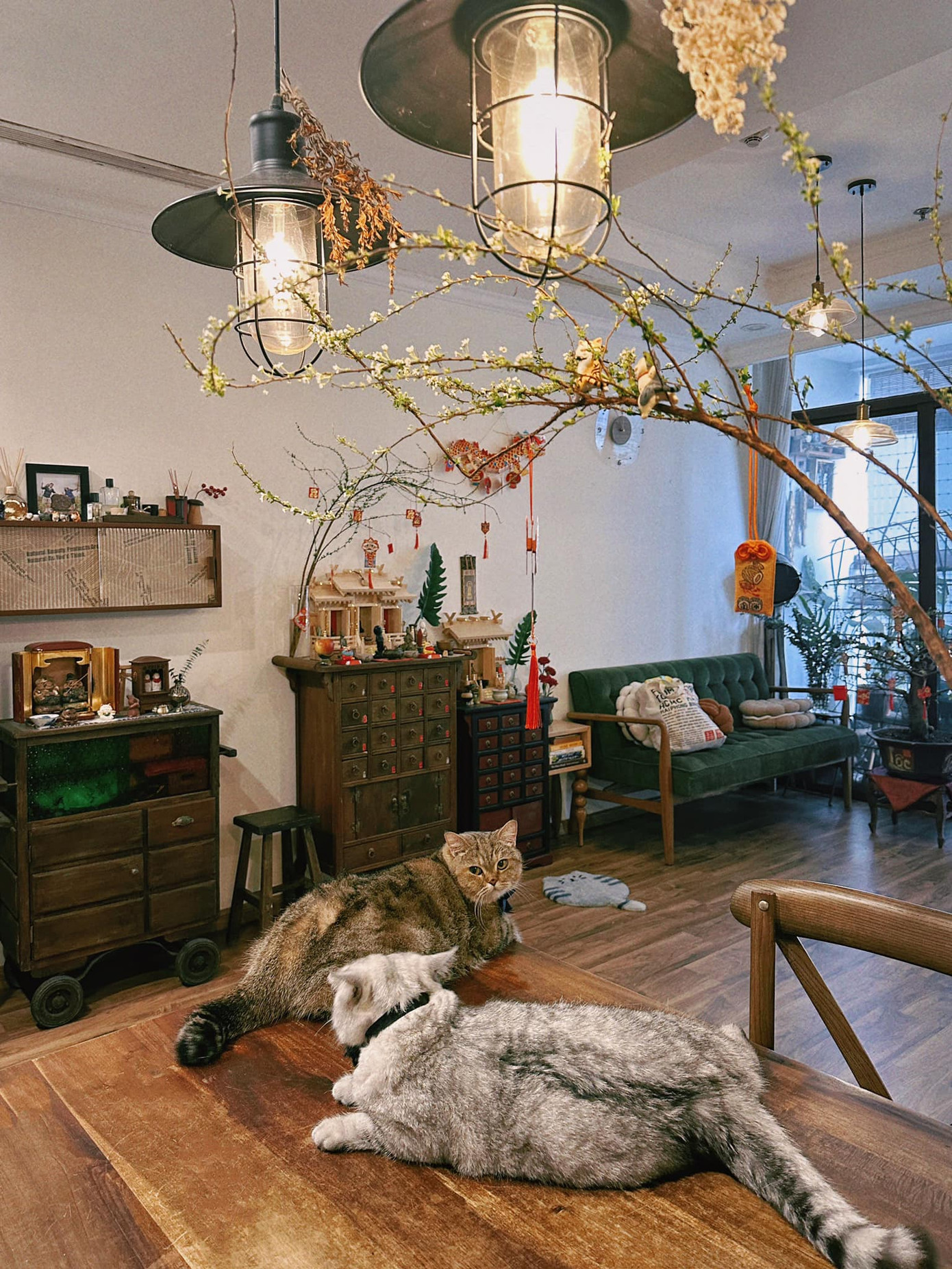 Anh chàng đã tự tay "mang Xuân vào nhà" với những thiết kế tối giản. Anh chàng đã tự tay "mang Xuân vào nhà" với những thiết kế tối giản.