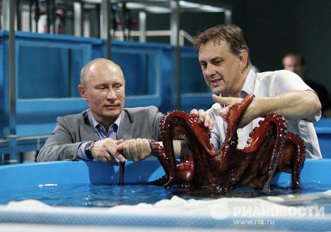 Tổng thống Putin và chú bạch tuộc