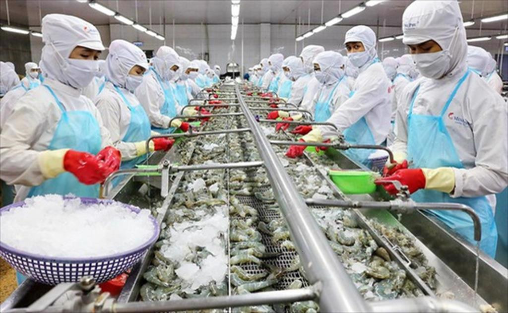 Đường bay mới dự kiến sẽ thúc đẩy xuất khẩu thủy hải sản từ ĐBSCL sang Trung Quốc. Ảnh: ST Đường bay mới dự kiến sẽ thúc đẩy xuất khẩu thủy hải sản từ ĐBSCL sang Trung Quốc. Ảnh: ST