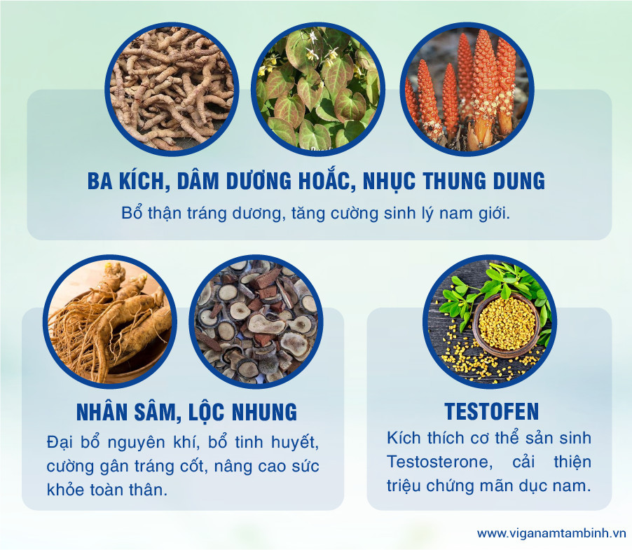 Một số loại thảo dược giúp tăng cường sinh lý nam giới