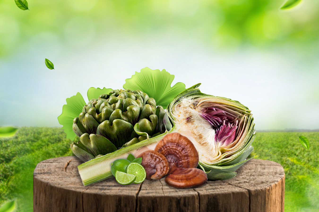 Thảo dược thanh nhiệt từ thiên nhiên Thảo dược thanh nhiệt từ thiên nhiên