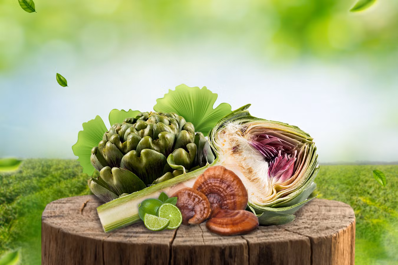 Thảo dược thanh nhiệt từ thiên nhiên Thảo dược thanh nhiệt từ thiên nhiên