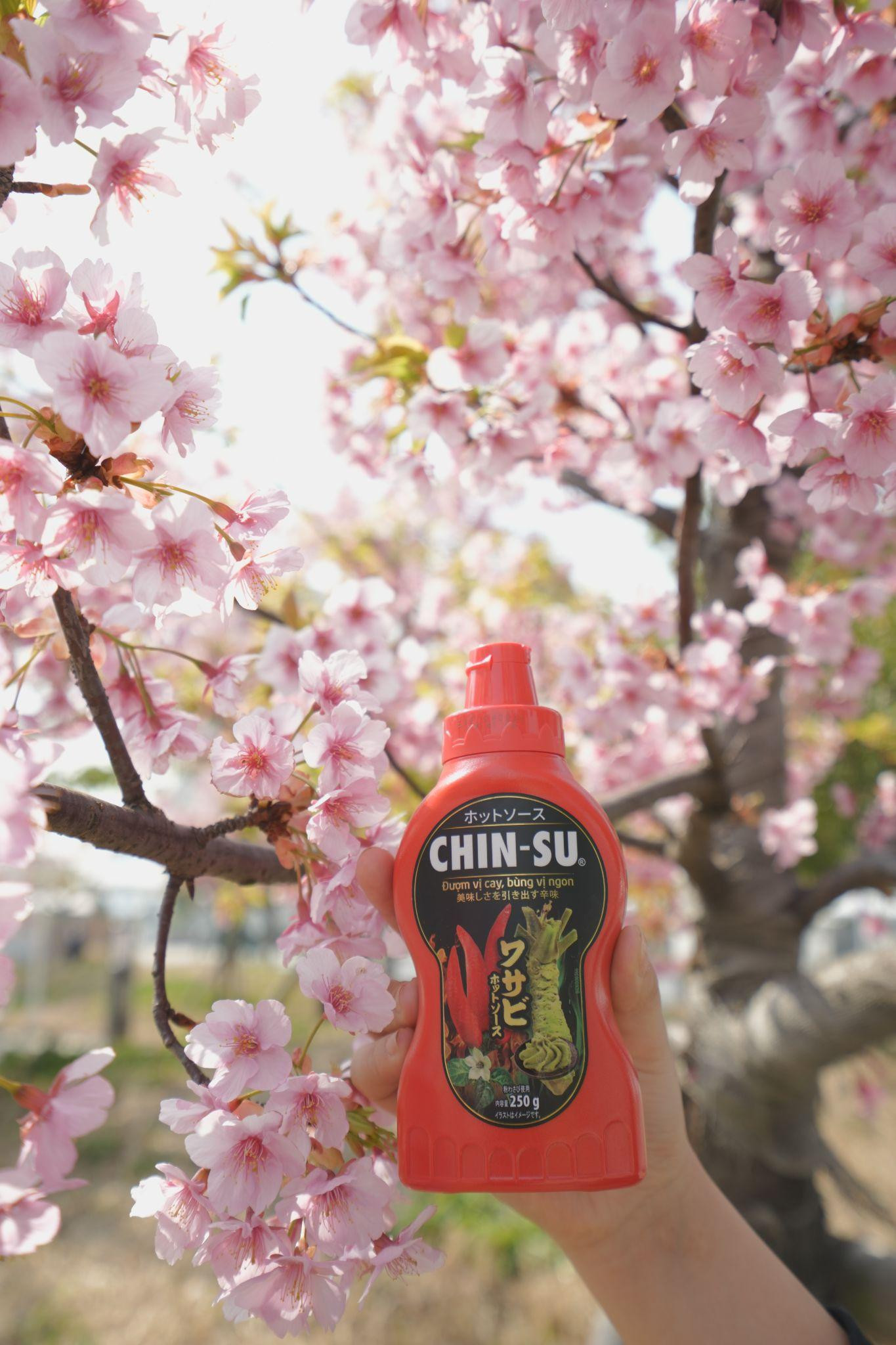 Tương ớt Wasabi chinh phục vị giác của thực khách Nhật Bản