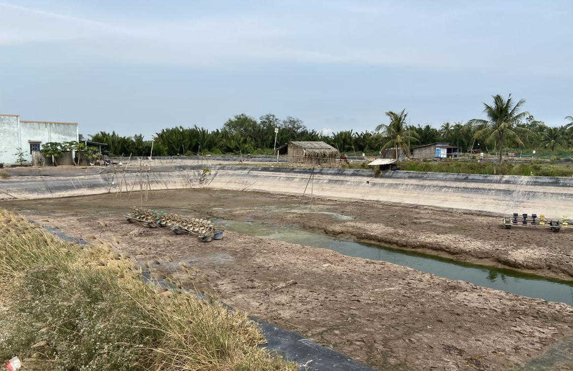 Một khu vực nuôi tôm bị ảnh hưởng bởi xâm nhập mặn vào mùa khô. (Ảnh: Keppel Land) Một khu vực nuôi tôm bị ảnh hưởng bởi xâm nhập mặn vào mùa khô. (Ảnh: Keppel Land)