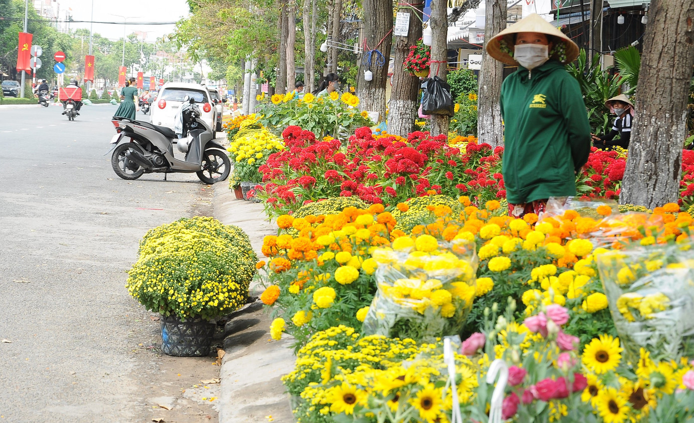 Chợ hoa Xuân Cần Thơ năm nay có quy mô lớn hơn nhiều so với năm trước. Chợ hoa Xuân Cần Thơ năm nay có quy mô lớn hơn nhiều so với năm trước.