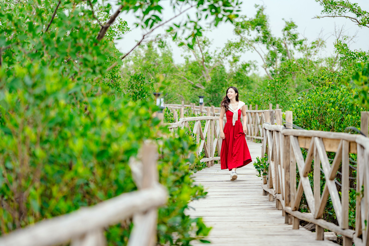 Du khách khám phá thiên nhiên xuyên qua rừng ngập mặn Dragon Mangrove Forest trên cây cầu gỗ dài 3km (nguồn Dragon Ocean Đồ Sơn)