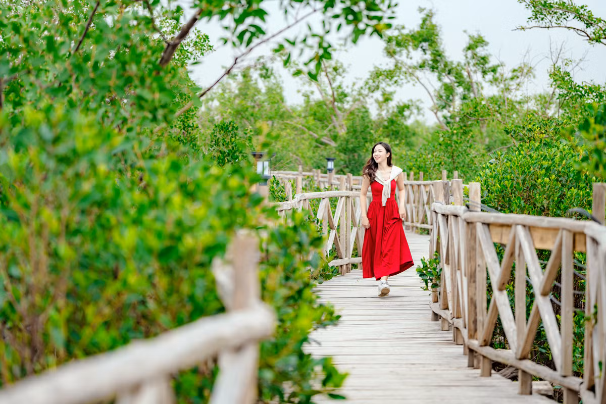 Du khách khám phá thiên nhiên xuyên qua rừng ngập mặn Dragon Mangrove Forest trên cây cầu gỗ dài 3km (nguồn Dragon Ocean Đồ Sơn) Du khách khám phá thiên nhiên xuyên qua rừng ngập mặn Dragon Mangrove Forest trên cây cầu gỗ dài 3km (nguồn Dragon Ocean Đồ Sơn)