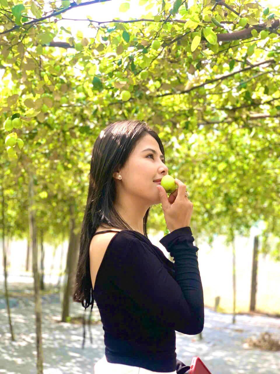 Vườn táo Organic đầu xuân trên núi Cấm Vườn táo Organic đầu xuân trên núi Cấm