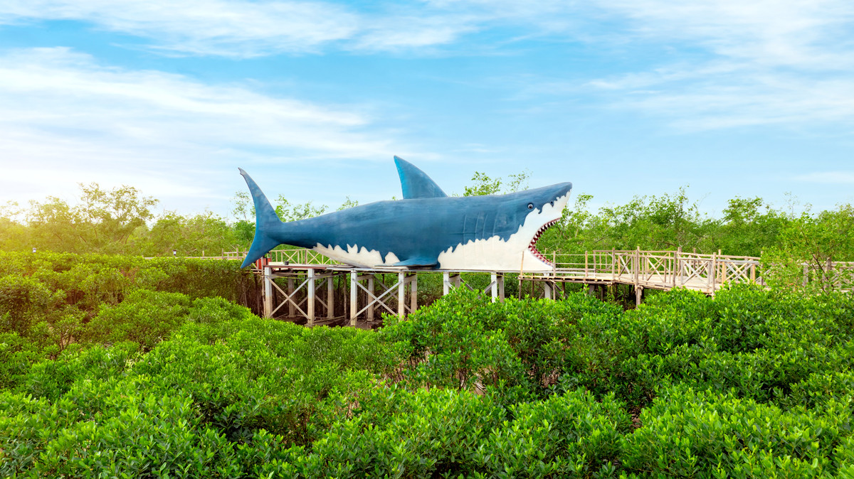 Công viên sinh thái trong rừng ngập mặn Dragon Mangrove Forest (nguồn Dragon Ocean Đồ Sơn)